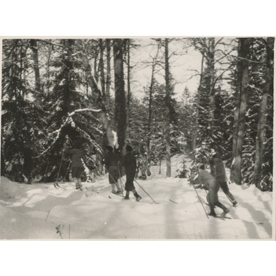 SLM P2020-0419 - Elever åker skidor i skogen, Solbacka Läroverk, 1931