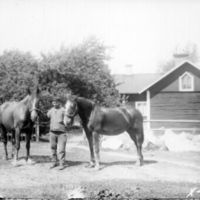 SLM X769-95 - Man med hästar, Eskilstuna, 1920-tal