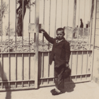 SLM P09-1974 - Pojke, ”Dörrvaktaren vid Molaro”, Anacapri, Capri omkring år 1903