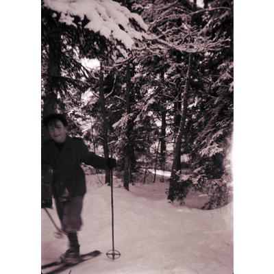 SLM X2022-0043 - En pojke åker skidor i skogen