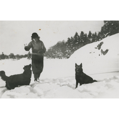 SLM P07-303 - Fröken Hall med två hundar i snön