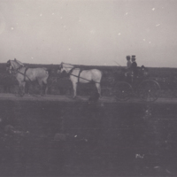 SLM P09-1993 - Kronprinsessan Viktorias hästspann vid Solliden år 1905