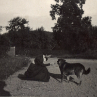 SLM P11-7094 - Möjligen Hildegard Indebetou med en hund