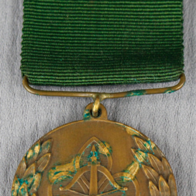 SLM 31100 19 - Medalj