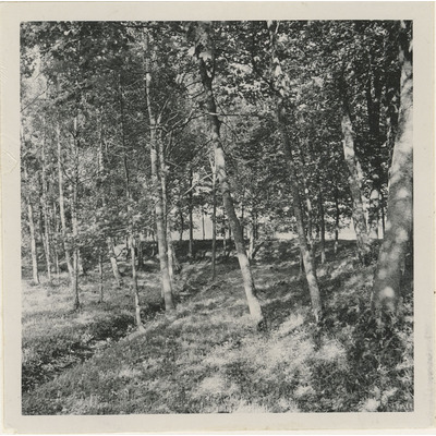 SLM M003838 - Vallgrav vid Väderbrunn i Bergshammars socken, foto år 1941