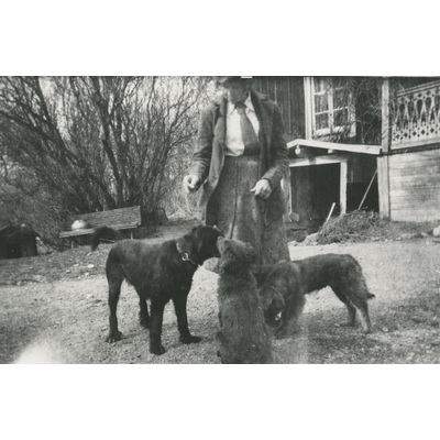 SLM P07-488 - Kvinna matar hundar på gårdsplan