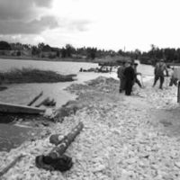 SLM POR52-2191-2 - Trosabron sjunker i leran. Foto 1952