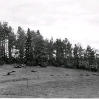 SLM M034742 - Utgrävning vid Moäng år 1937