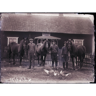 SLM X2169-78 - Tre män med hästar