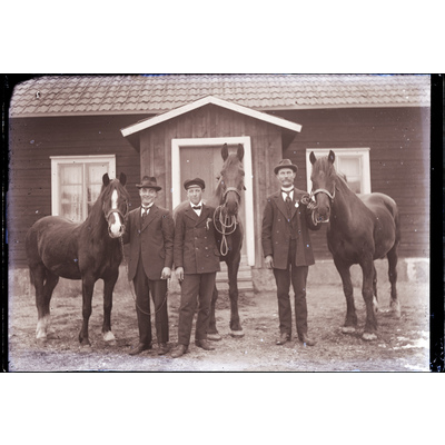 SLM X551-81 - Porträtt med hästar