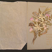 SLM 12100 - Gratulationskort, pressade blommor och en dikt, till ett silverbröllopspar
