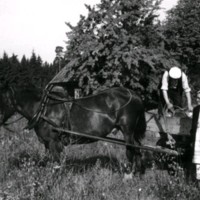 SLM M029613 - Häst med vagn på en åker
