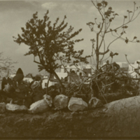 SLM P09-1062 - Anacapri, Capri, Italien omkring år 1903