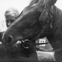 SLM P07-1084 - Folke Ahlstrand (1901-1954) matar hästen Markus år 1931