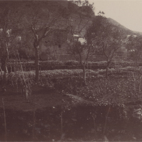 SLM P09-1038 - San Michele, Capri, omkring 1903