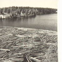 SLM A7-180 - Skogsbruk med skogsindustri
