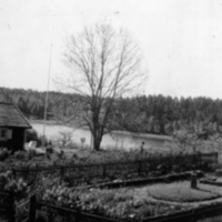 SLM P08-610 - Ullstorpet med trädgård