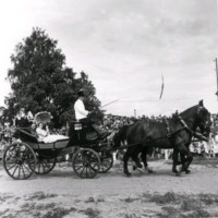 SLM M033842 - Två kvinnor åker häst och vagn.