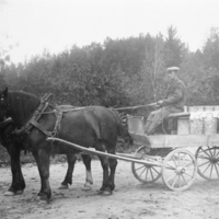 SLM P05-642 - Transport av mjölkkannor med häst och vagn