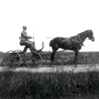 SLM Ö620 - Hästekipage, man i vagn med en förspänd häst