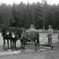 SLM M029581 - Två män med hästar