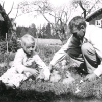 SLM M029078 - En pappa och dotter med kaniner i gräset.