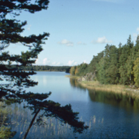 SLM DIA2014-006 - Sjön Björken i Bälinge 1991