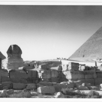 SLM P11-098 - Foto från Egypten år 1962