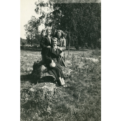 SLM P06-499 - Pontus, Hillvid och Nella Ljungqvist ute i naturen år 1934