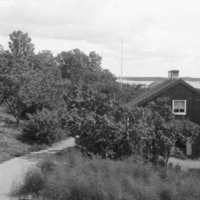SLM P05-662 - Ellesta Krongård, Nyköping, 1919