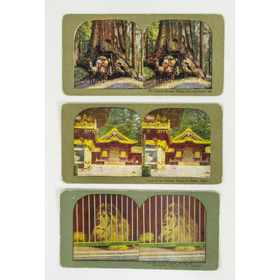 51484 13, 17, 19 - Stereoskopfoton med färglagda motiv, tempel i Japan, trädtunnel och lejonet Rex