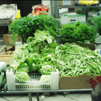 SLM S37-98-25 - Grönsaker från torghandel i Oxelösund 1998