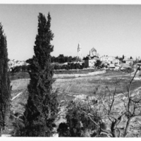 SLM P11-1204 - Foto från Israel 1964
