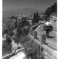 SLM P11-2630 - Foto från Sicilien 1958