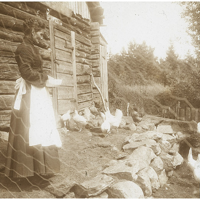SLM DIA2022-0105 - En kvinna vid hönshuset på Grönbrink, 1900-tal