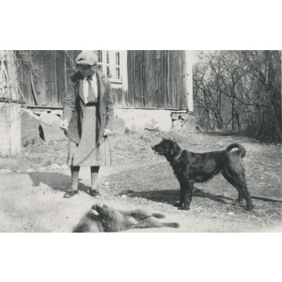 SLM P07-358 - En kvinna med hundar
