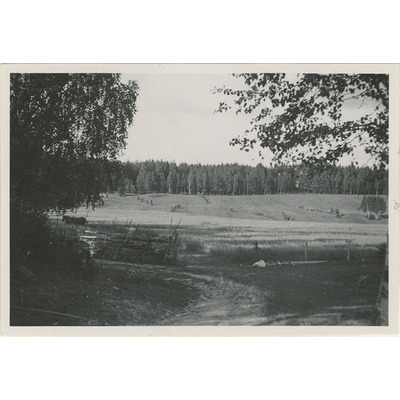 SLM M006323 - Landskapsbild med gärdesgård och höhässjor