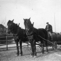 SLM P07-1119 - Man med gödselvagn dragen av två hästar vid Staf i Floda socken