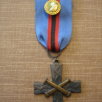 SLM D09-360 - Paul Sjöströms medalj