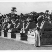 SLM P11-301 - Foto från Egypten år 1962