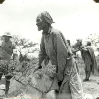 SLM FH0072 - Kamelman i Etiopien 1935-1936