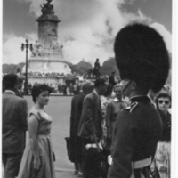 SLM P11-3327 - London, vaktombytespublik, Buckingham Palace 1955