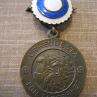 SLM D09-362 - Paul Sjöströms medalj
