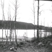 SLM Ö466 - Skogsparti vid sjö