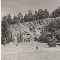 SLM A8-56 - Berg vid Tavesta år 1963