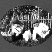SLM P09-1468 - Två män med korg med äpplen och en katt