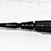 SLM 2229 - Gaffel med två klor och skaft av mahogny, 1600- 1700-tal