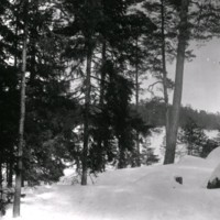 SLM Ö482 - Skogslandskap vintertid