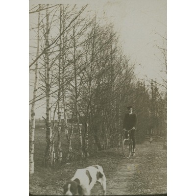 SLM P09-1571 - Man på cykel och en hund