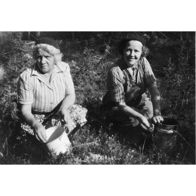 SLM R968-92-3 - Ester och Agda plockar blåbär vid Hagbyberga i Björkvik, 1930-tal